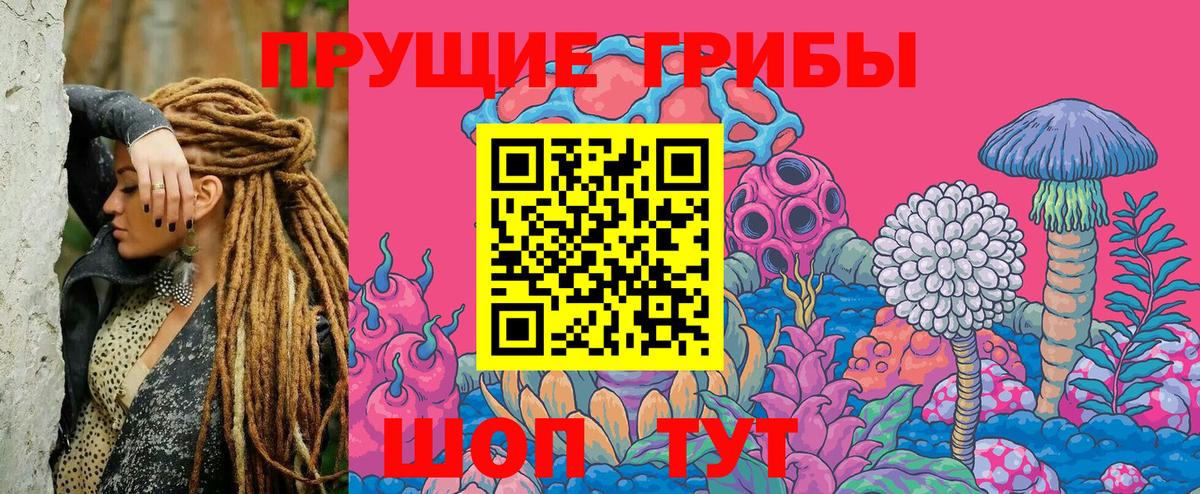 Галлюциногенные грибы Magic Shrooms  наркошоп  Малоярославец  Вход с VPN  Псилоцибиновые грибы прущие грибы 